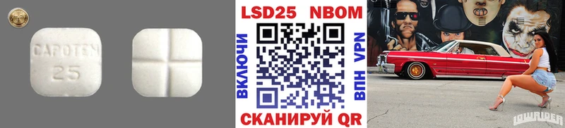 ссылка на мегу вход  Снежногорск  LSD-25 экстази кислота 