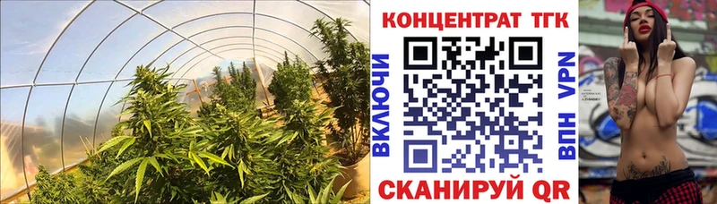 Дистиллят ТГК концентрат  Снежногорск 