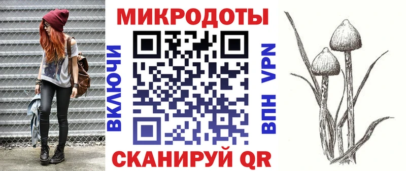 Псилоцибиновые грибы Cubensis мега ссылка Снежногорск